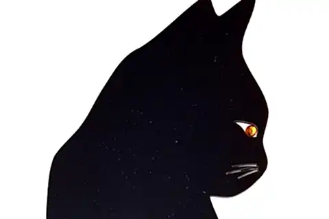 SİYAH KEDİ DEKORATİF SARKAÇLI DUVAR SAATİ