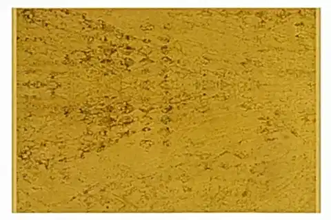 VERONA MAKİNE HALISI, SARI, 306, 80X150