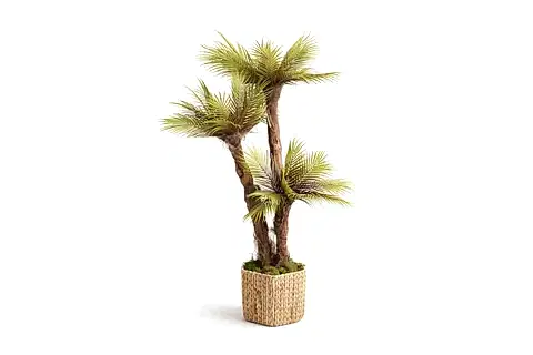 SKAES TROPİK YAPAY PALMİYE, 165 CM