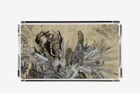 PLEKSİ TEPSİ, 2121