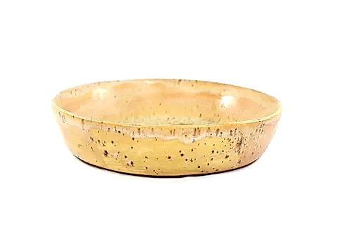 SARIMSI KAHVE TERRA YEMEK TABAĞI MEDİUM