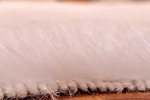 TAPPETO REX TAVŞANI DOUBLE POST, 22 MM, BEYAZ, 60X100