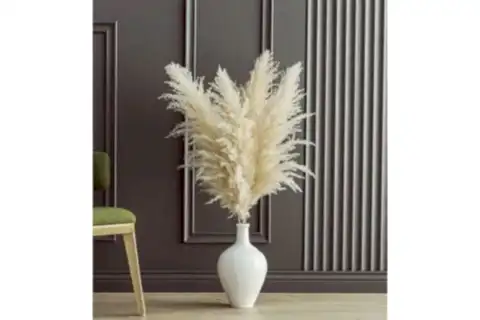 FULFLY ŞOKLANMIŞ PAMUKLU PAMPAS, 5 ADET