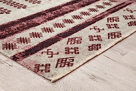 VEGA DEKORATİF YENİ NESİL HALI 4036 80X300