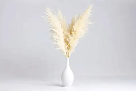 SERAMİK VAZO VE 4 ADET PAMUKLU PAMPAS BEYAZ/KREM