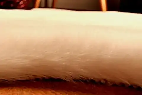 TAPPETO REX TAVŞANI POST HALI, 22 MM, KREM, 80X150