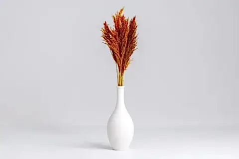 SERAMİK VAZO VE 15 ADET PAMPAS, BEYAZ TURUNCU