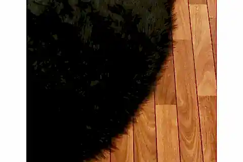 AKRİLİK KUZU POST HALI, YUVARLAK, SİYAH, 100X100