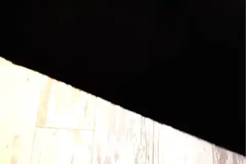 TAPPETO REX DEKORATİF POST HALI, SİYAH, 80X150