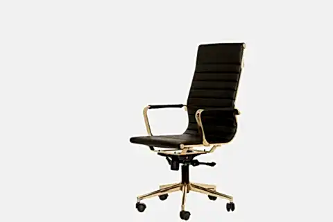 NEVA MÜDÜR OFİS SANDALYE