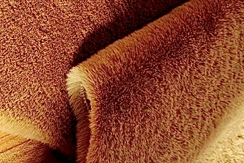 TAPPETO REX TAVŞANI DEKORATİF POST HALI, CAMEL, 80X150