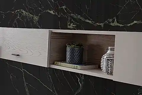 LANİS TV ÜNİTESİ, ÜST BLOK