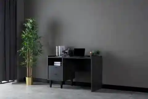 FRANZ ÇALIŞMA MASASI