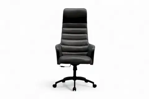 SANCAK OFİS RİVA YÖNETİCİ KOLTUĞU, GRİ
