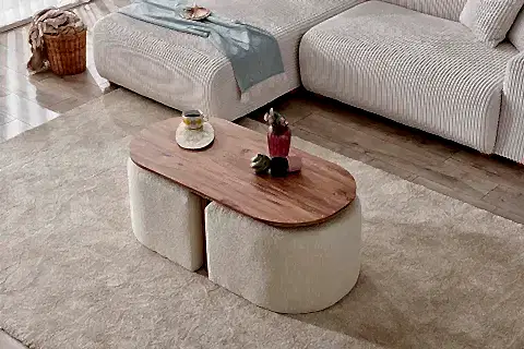 KLON FONKSİYONEL SEHPA VE PUF TAKIMI, MEŞE